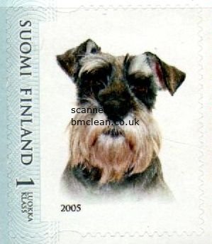 (image for) 2005 Dog