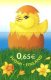 (image for) 2006 Easter Chick