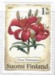 (image for) 2007 Candlestick Lily