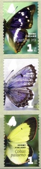 (image for) 2007 Butterflies