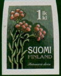 (image for) 2010 Cats Foot