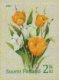 (image for) 2011 Tulips