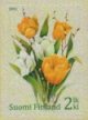 (image for) 2011 Tulips