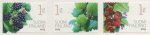(image for) 2013 Garden Berries