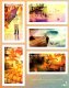 (image for) 2013 Autumn