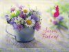 (image for) 2017 Summer Flowers