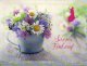 (image for) 2017 Summer Flowers
