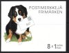 (image for) 1998 World Dog Show