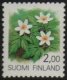 (image for) 2m Wood Anemone