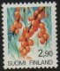 (image for) 2m 90 Shrub Sea Buckthorn