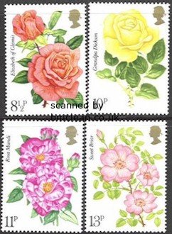 (image for) 1976 Roses