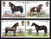 (image for) 1978 Horses