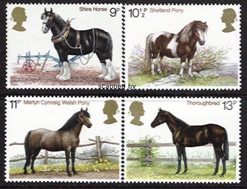 (image for) 1978 Horses