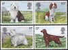 (image for) 1979 Dogs