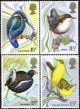 (image for) 1980 Birds