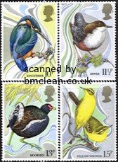 (image for) 1980 Birds