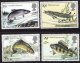 (image for) 1983 River Fish