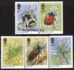 (image for) 1985 Insects