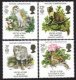 (image for) 1986 Europa/Nature Conservation