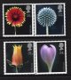 (image for) 1987 Flower Photographs