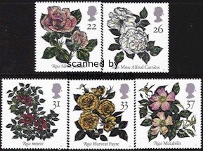 (image for) 1991 Roses