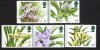 (image for) 1993 Orchids