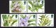 (image for) 1993 Orchids