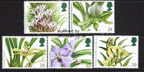 (image for) 1993 Orchids