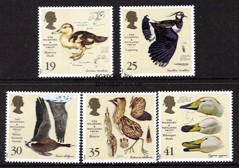 (image for) 1996 Wildfowl