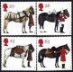 (image for) 1997 Horses