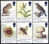 (image for) 1998 Endangered Species