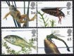 (image for) 2001 Europa - Pond Life