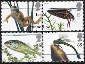 (image for) 2001 Europa - Pond Life