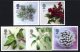 (image for) 2002 Christmas Flowers