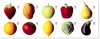 (image for) 2003 Fruit & Vegetables