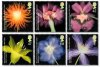 (image for) 2004 Royal Horticultural Society