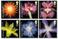 (image for) 2004 Royal Horticultural Society