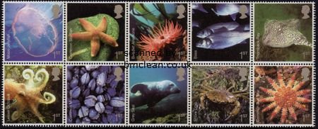 (image for) 2007 Sea Life