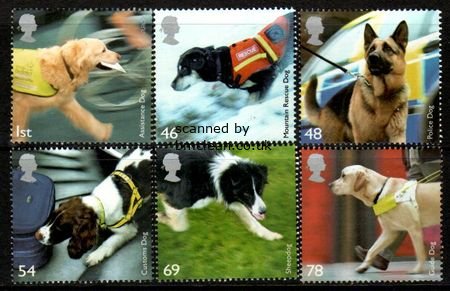 (image for) 2008 Working Dogs