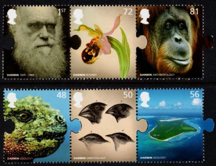 (image for) 2009 Charles Darwin
