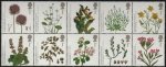 (image for) 2009 Plants