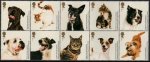 (image for) 2010 Battersea Cats and Dogs Home