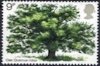 (image for) 1973 Oak Tree
