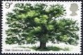(image for) 1973 Oak Tree