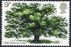 (image for) 1973 Oak Tree