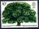(image for) 1974 Tree