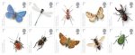 (image for) 2008 Insects