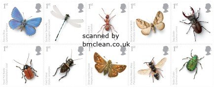 (image for) 2008 Insects