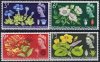 (image for) 1964 Botanical (Phos)
