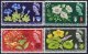 (image for) 1964 Botanical (Phos)